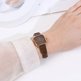 Arya Braided Strap Analogue Watch (Coffee)