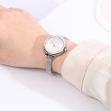 Vera Mesh Strap Analog Watch (Silver)