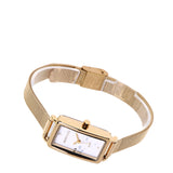 Raven Stainless Steel Analogue Watch (Gold)