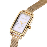 Raven Stainless Steel Analogue Watch (Gold)
