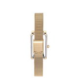 Raven Stainless Steel Analogue Watch (Gold)