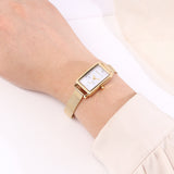 Raven Stainless Steel Analogue Watch (Gold)